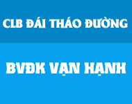 dai-thao-duong