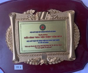 Giải thưởng hoa việc thiện
