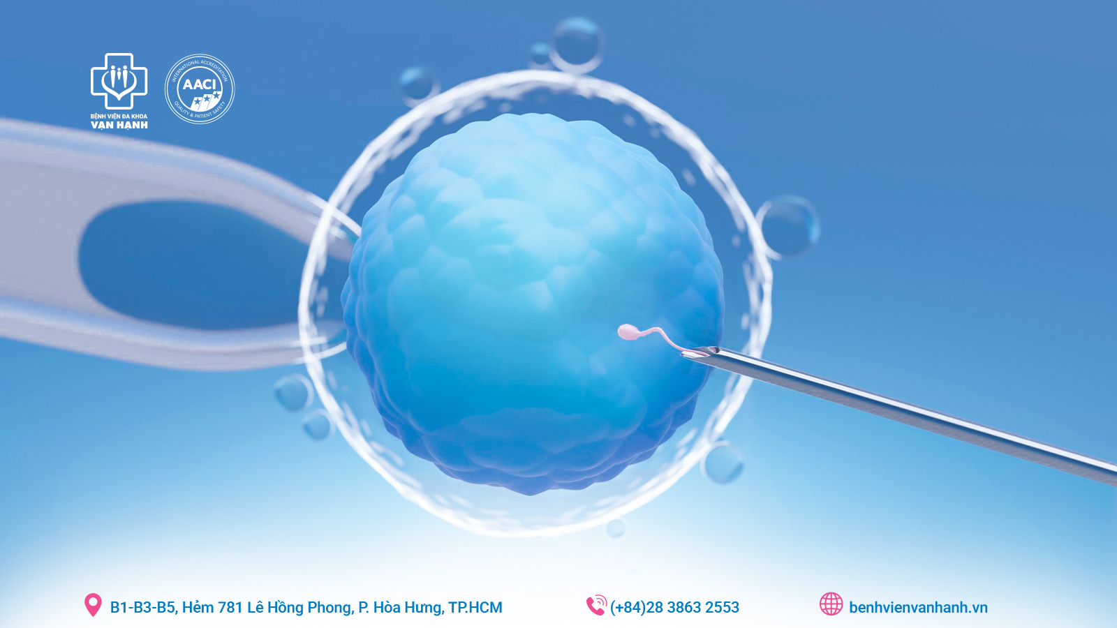 IVF